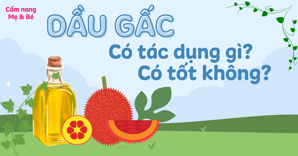 Dầu gấc có tác dụng gì, có tốt không? 5 lưu ý khi dùng dầu gấc
