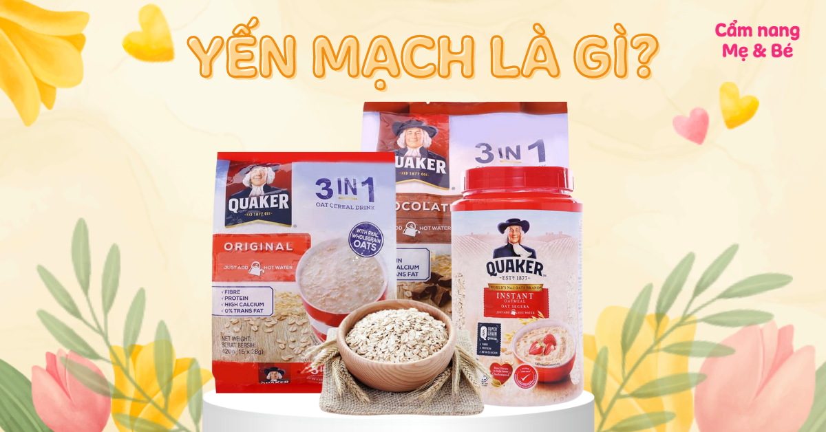 Yến mạch là gì? Công dụng và lưu ý khi dùng yến mạch