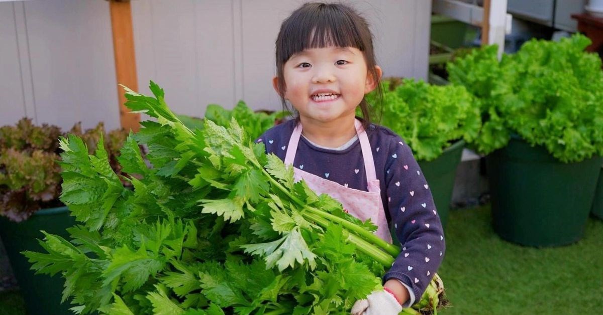 Vì sao làm vườn lại cải thiện sức khỏe của gia đình bạn?