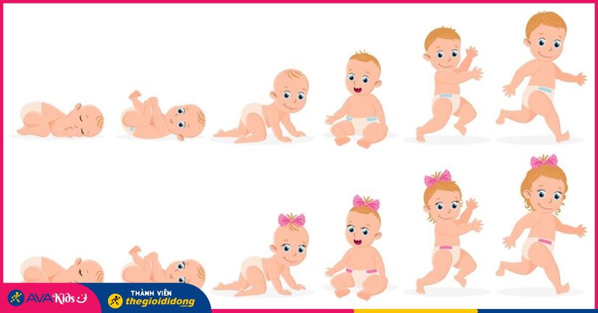 Theo dõi chiều cao cân nặng của trẻ theo chuẩn WHO - Biểu đồ tăng trưởng của trẻ 0 – 6 tháng tuổi