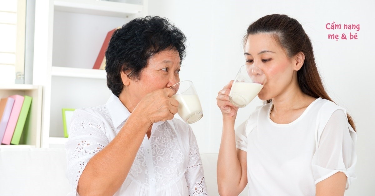 Người già nên uống sữa tươi hay sữa bột? Loại nào tốt hơn?