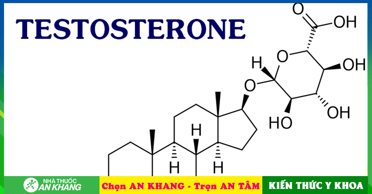 Món ăn nào có thể tăng hormone nam một cách tự nhiên?
