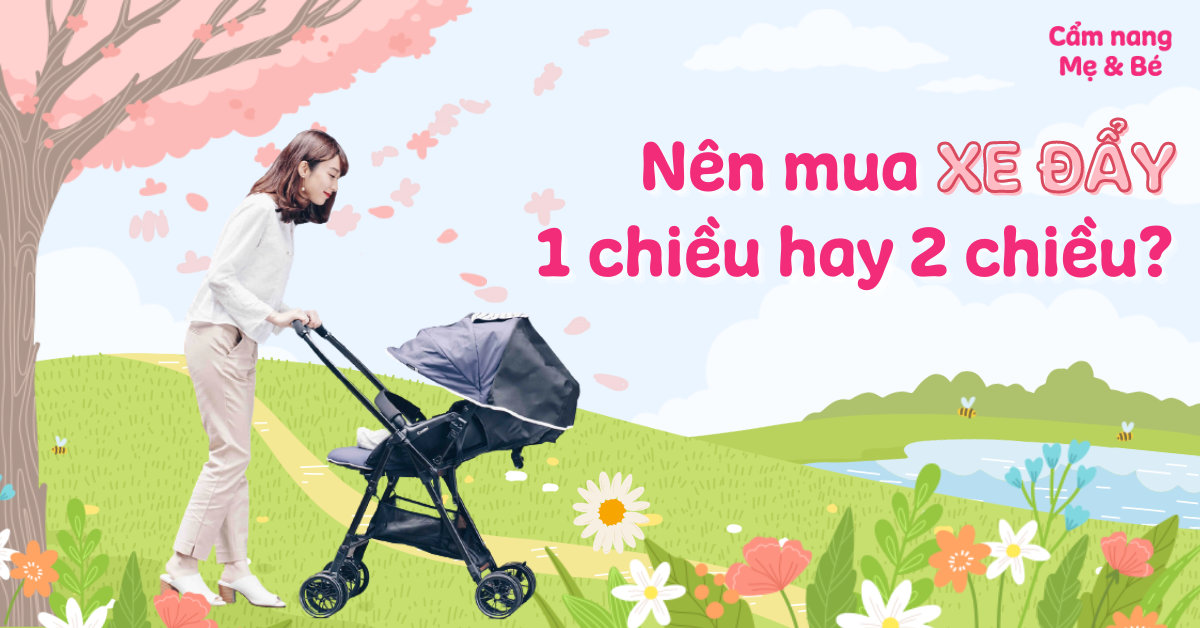 Nên mua xe đẩy 1 chiều hay 2 chiều? Xe đẩy hãng nào tốt?