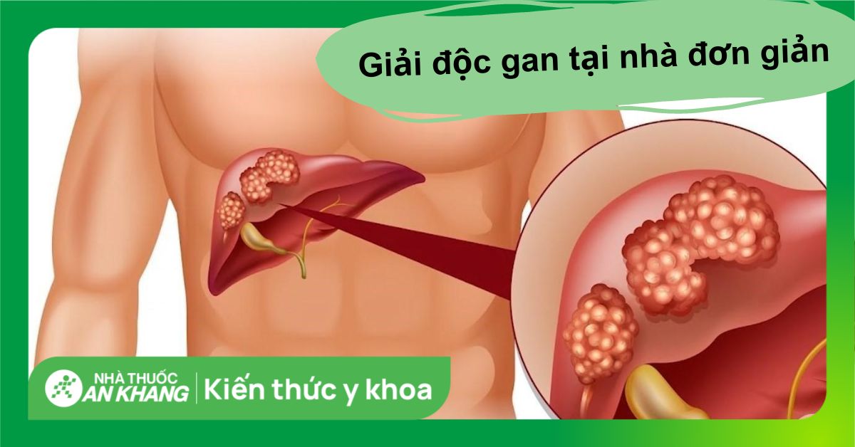 8 cách giải độc gan tại nhà đơn giản, hiệu quả dịp lễ bạn có thể biết