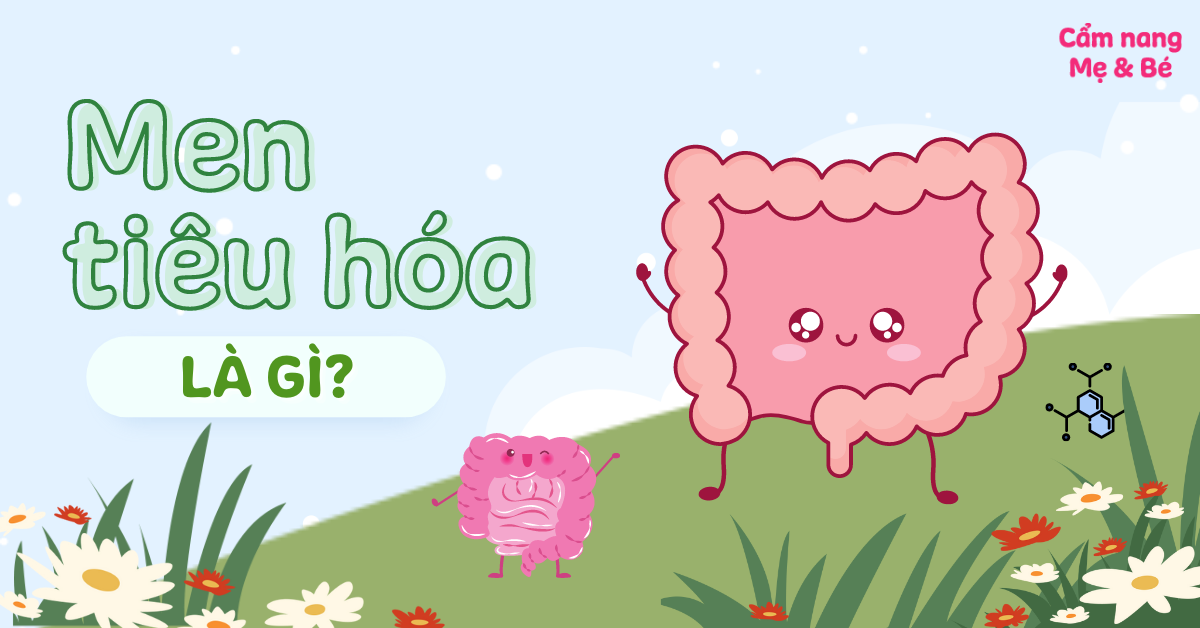 Men tiêu hóa có tác dụng gì? Liều dùng, phân biệt với men vi sinh