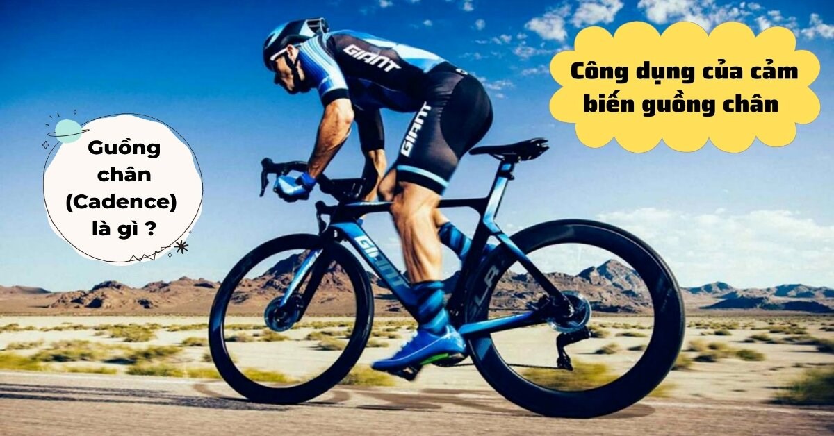 Guồng chân (Cadence) là gì? Công dụng của cảm biến guồng chân xe đạp