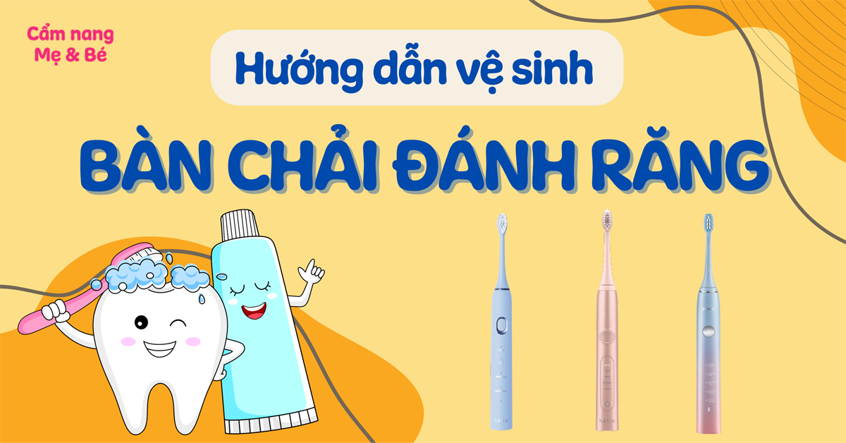 Hướng dẫn vệ sinh và bảo quản bàn chải đánh răng đúng cách