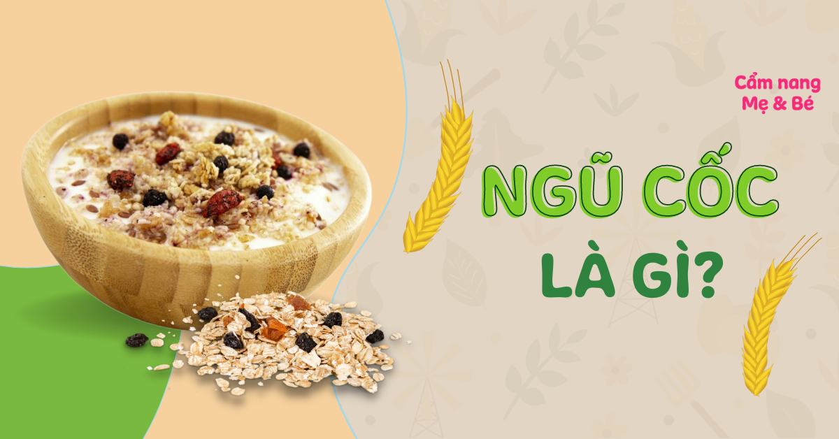 Ngũ cốc là gì? Các loại ngũ cốc và tác dụng đối với sức khỏe