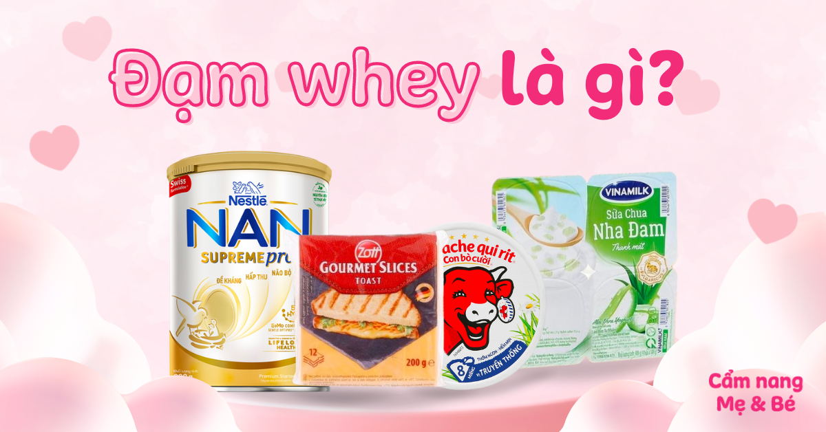 Đạm whey là gì? Vai trò, công dụng whey protein đối với sức khỏe