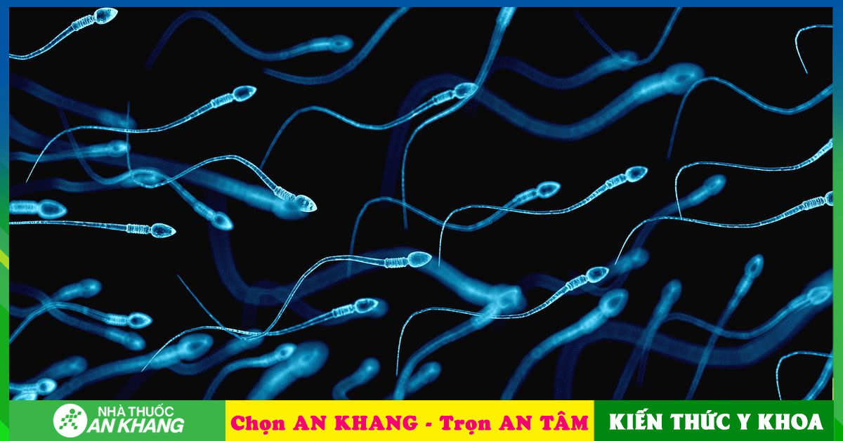 Số lượng tinh trùng bình thường mỗi lần xuất tinh của nam giới