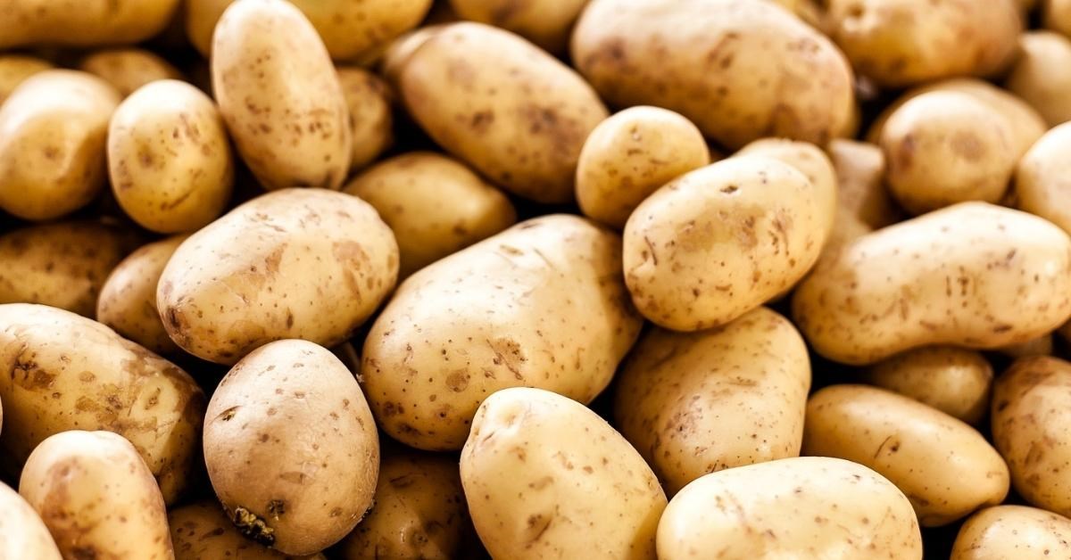 Cho trẻ ăn khoai tây vừa tốt tiêu hoá và giàu dinh dưỡng - Gợi ý món ăn dặm hấp dẫn từ khoai tây