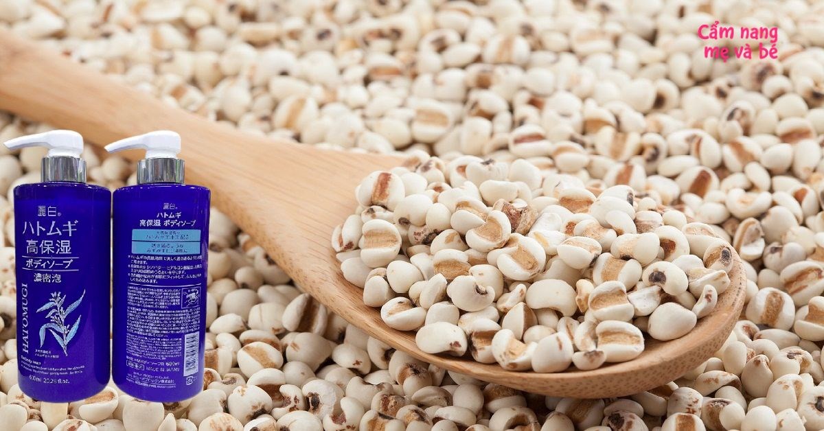 Review sữa tắm hạt ý dĩ Hatomugi Nhật Bản có tốt không? Giá bao nhiêu?