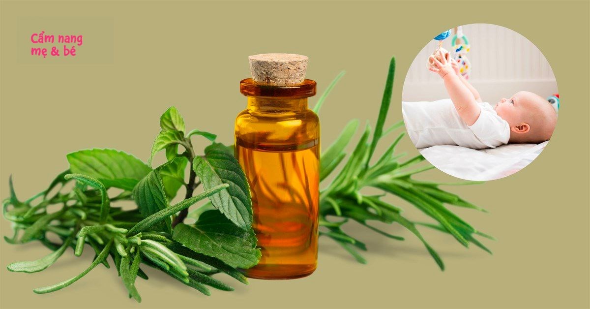 Có nên xông tinh dầu tràm cho trẻ sơ sinh? Loại nào tốt cho bé?