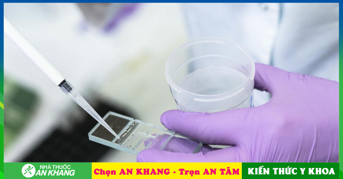 Belorussiyalik qizlar külotlu çoraplarda mushuklar