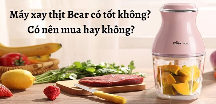 Máy xay thịt Bear có tốt không? Có nên mua hay không?