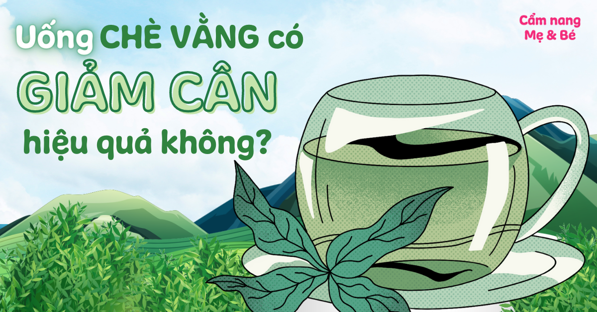 Uống chè vằng có giảm cân hiệu quả không? Mẹ sau sinh nên uống thế nào?