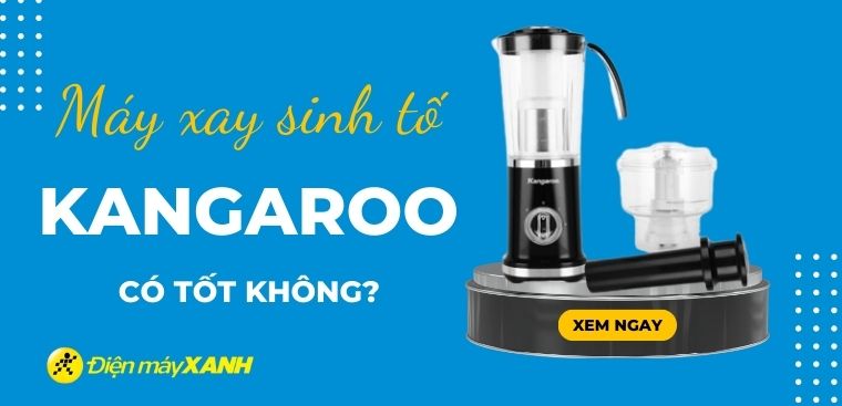 Máy xay sinh tố Kangaroo có tốt không? Có nên mua không?