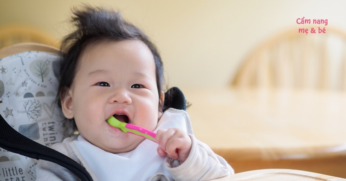 Có nên dùng hạt nêm cho bé ăn dặm không? Cách dùng khoa học