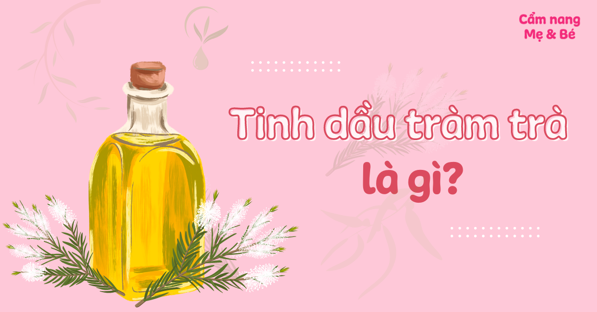 Tinh dầu tràm trà là gì? 10 công dụng của tinh dầu tràm trà với làn da