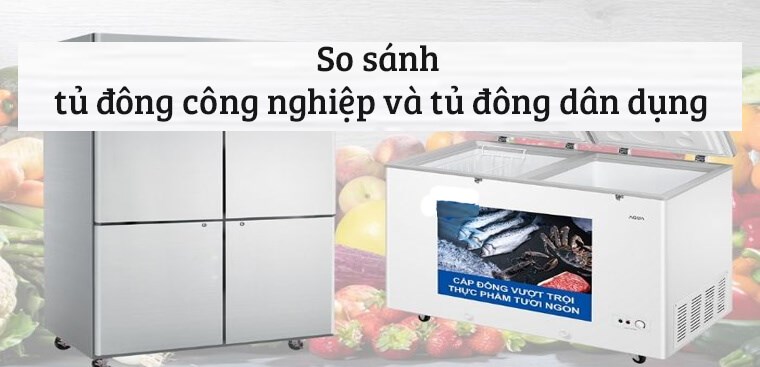 Tủ đông công nghiệp là gì? So sánh tủ đông công nghiệp và tủ đông dân dụng