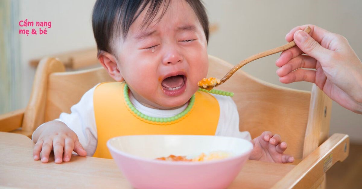 Mẹ nên làm gì bé khóc và không chịu ngồi ghế ăn dặm?