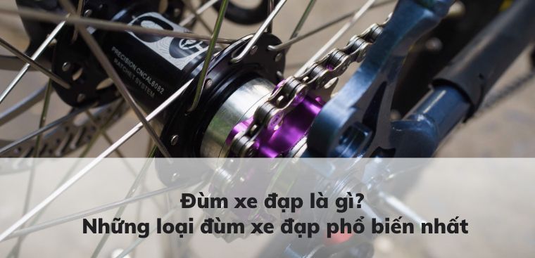 Đùm xe đạp là gì? Những loại đùm xe đạp phổ biến nhất