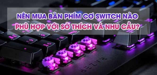Nên mua bàn phím cơ switch nào phù hợp với sở thích và nhu cầu sử dụng?