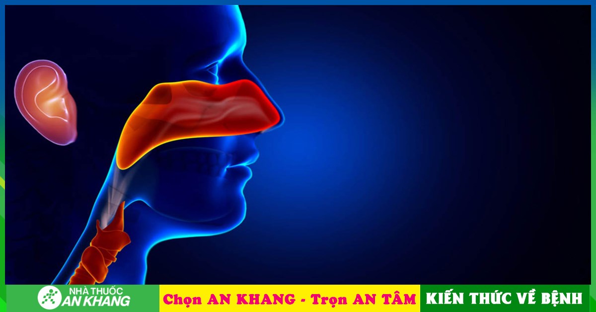 Cơ quan nào trong hệ thống hô hấp có vai trò trong quá trình nối từ họng?
