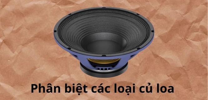 Phân biệt các loại củ loa chuyên dụng bạn nên biết