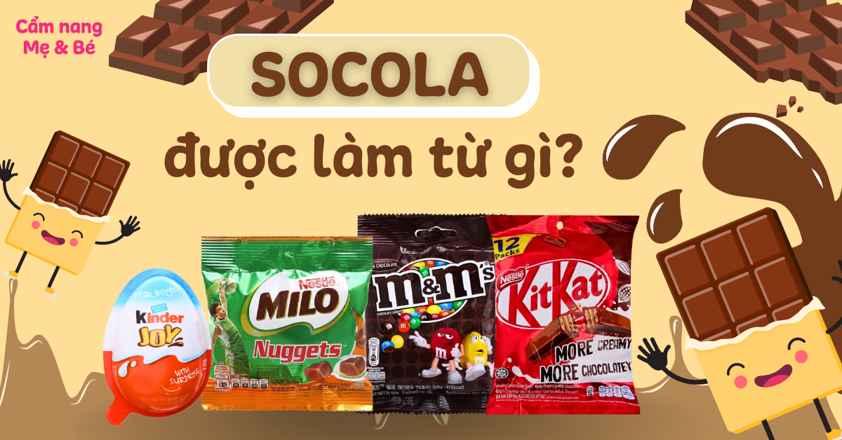 Socola được làm từ gì? Nguồn gốc và cách sản xuất chocolate