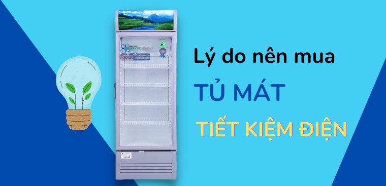 Lý do nên mua tủ mát tiết kiệm điện bạn nên biết trước khi mua