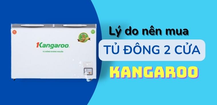 7 lý do nên mua tủ đông Kangaroo 2 cửa tiện lợi bạn nên biết