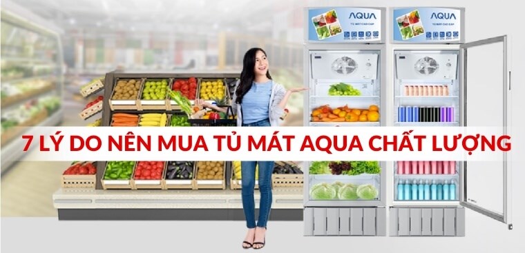 7 lý do nên mua tủ mát Aqua chất lượng bạn nên biết