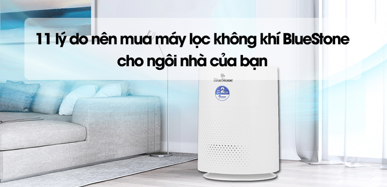 11 lý do nên mua máy lọc không khí BlueStone cho ngôi nhà của bạn