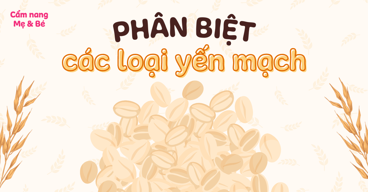 Phân biệt các loại yến mạch. Lợi ích, yến mạch loại nào tốt?
