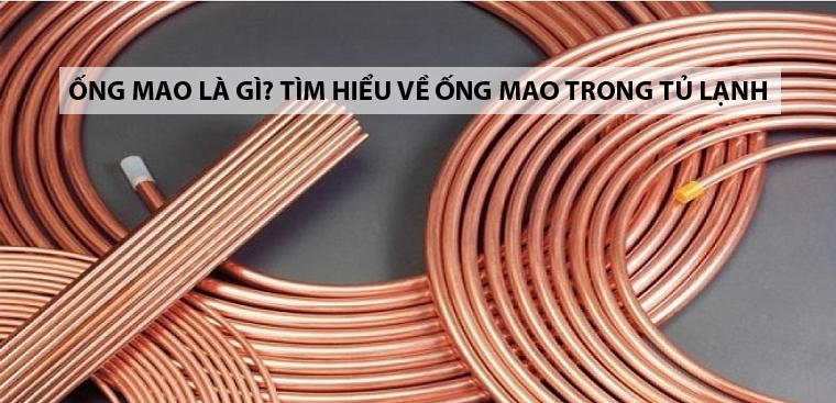 Ống mao là gì? Tìm hiểu về ống mao trong tủ lạnh
