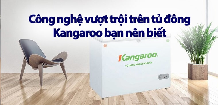 Công nghệ vượt trội trên tủ đông Kangaroo bạn nên biết