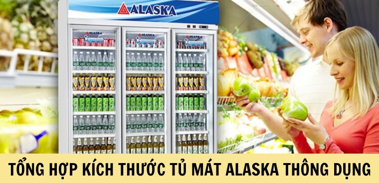 Tổng hợp kích thước các dòng tủ mát Alaska thông dụng