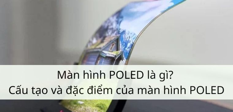 Màn hình POLED là gì? Cấu tạo và đặc điểm của màn hình POLED