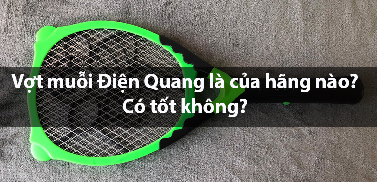 Vợt muỗi Điện Quang có tốt không? Có nên mua không?