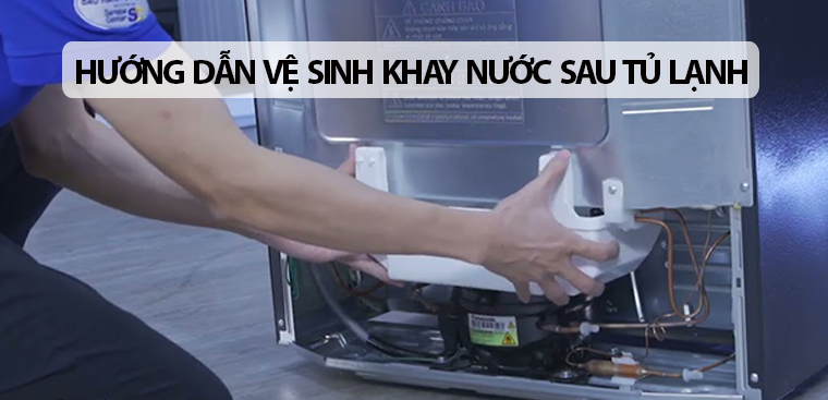 Khay nước sau tủ lạnh có tác dụng gì? Hướng dẫn cách vệ sinh khay nước sau tủ lạnh