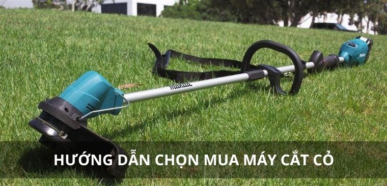 Hướng dẫn chọn mua máy cắt cỏ phù hợp cho nhu cầu sử dụng