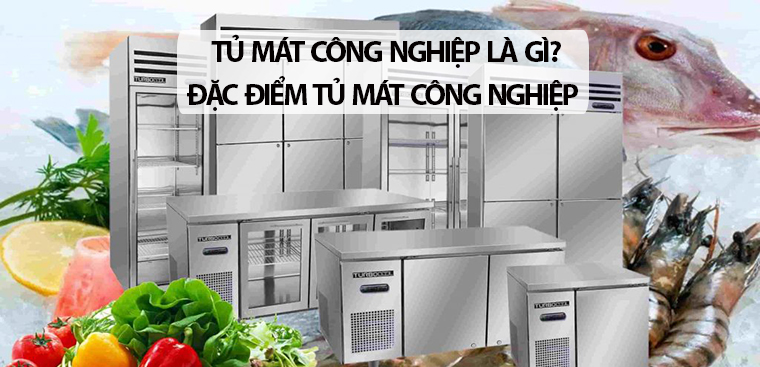 Tủ mát công nghiệp là gì? Một số đặc điểm của tủ mát công nghiệp