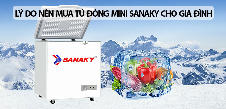 5 lý do nên mua tủ đông mini Sanaky cho gia đình