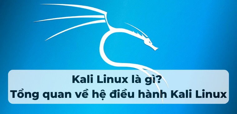 Kali Linux là gì? Tổng quan về hệ điều hành Kali Linux