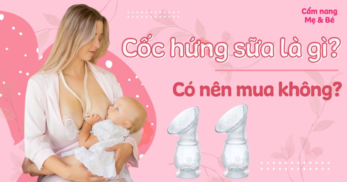 Cốc hứng sữa là gì? Có nên mua không, khác gì với máy hút sữa?
