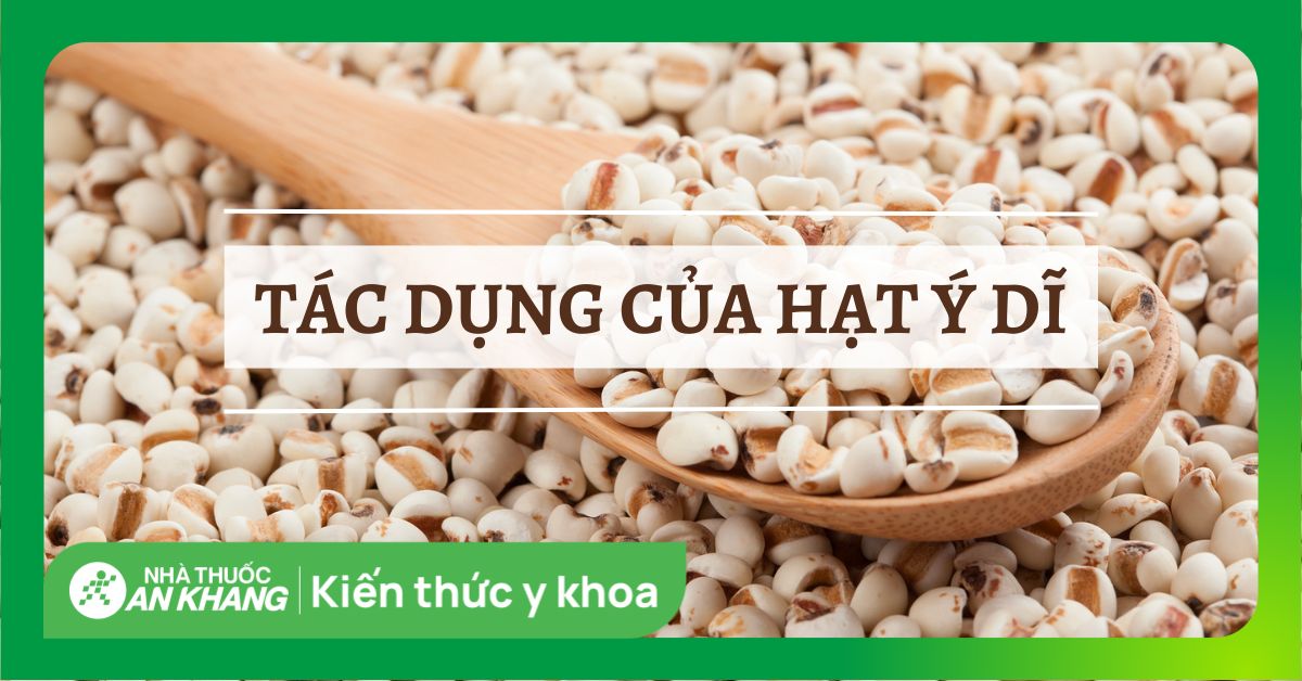 Hiểu thêm về tính hơi hàn và vị ngọt của ý dĩ trong việc hiệu quả tác dụng của cây?
