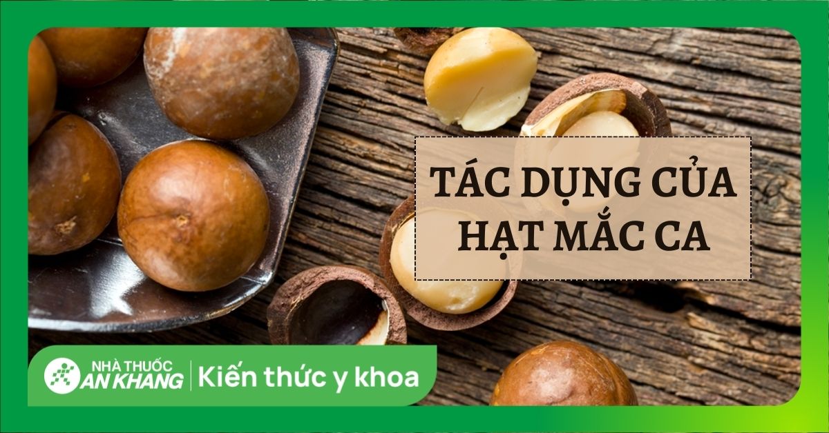 14 công dụng của hạt mắc ca đối với sức khỏe bạn không nên bỏ qua