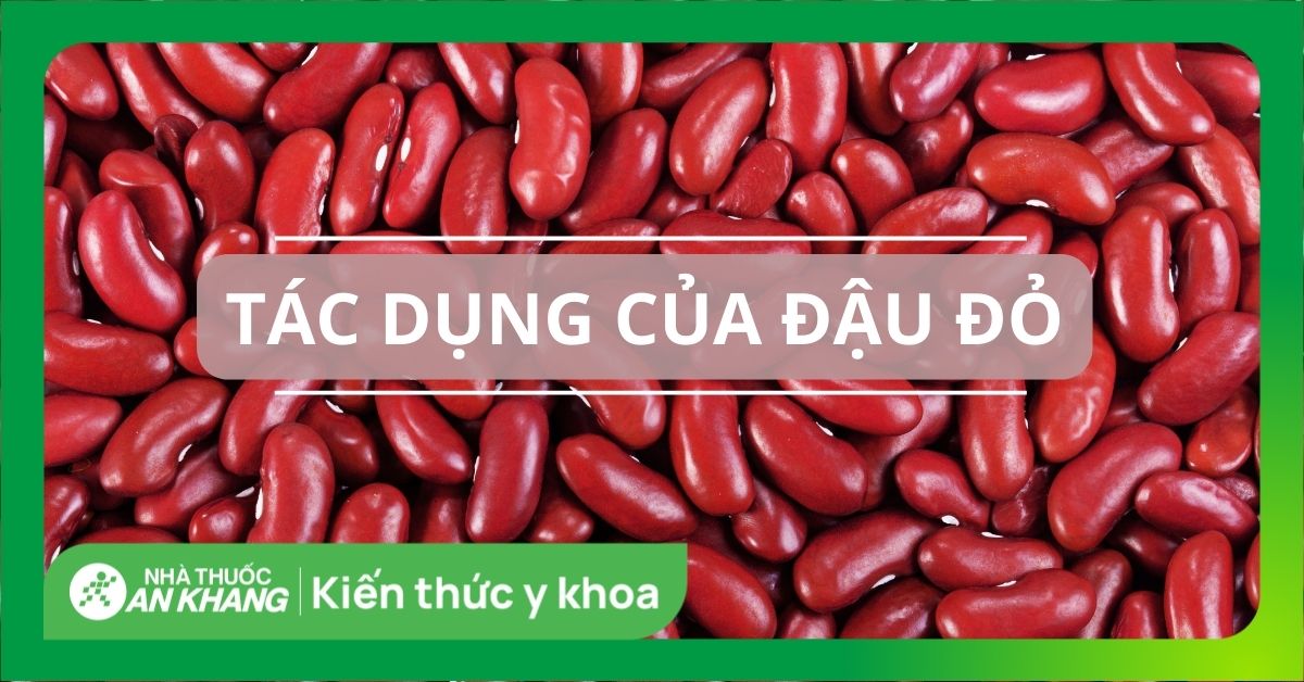 Tác Dụng Của Đậu Đỏ: Lợi Ích Sức Khỏe Và Làm Đẹp Tuyệt Vời