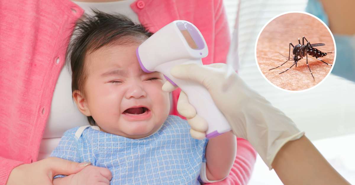 Các giai đoạn sốt xuất huyết mà ba mẹ cần biết để chăm sóc con
